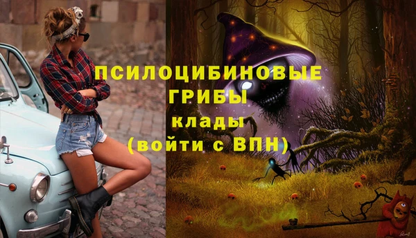 дживик Вязники